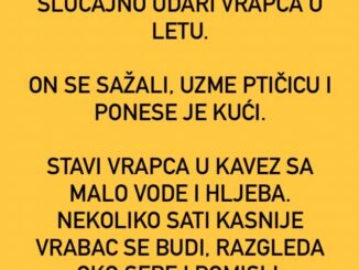 Vozi mladić motor i slučajno udari vrapca u letu.