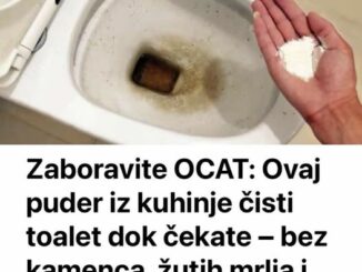 Napravite sopstveno efikasno sredstvo za čišćenje WC šolje.