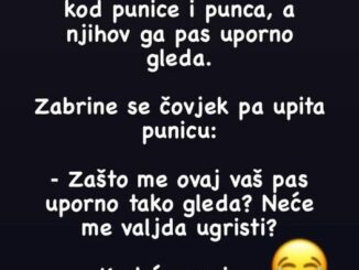 zet na večeru kod pune