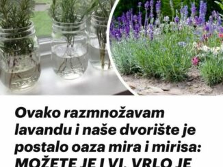 Savjetovaću vas kako najlakše