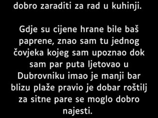 Pošto u Srbiji posla nisam mogao naći