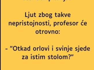 Profesor sjedi u menzi i jede