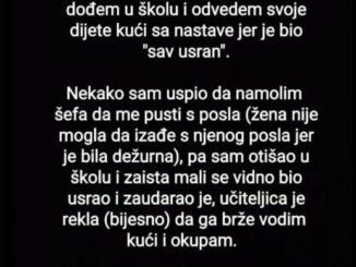 Učiteljica mog najmlađeg